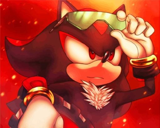 Cool Shadow The Hedgehog Paint By Numbers