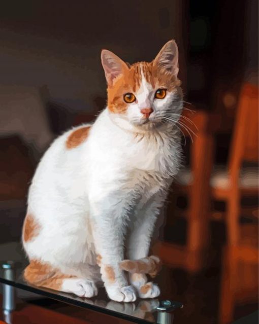 Cute Orange And White Cat Paint By Numbers