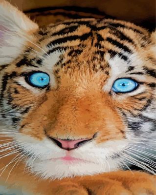 Cute Baby Blue Eyes Tiger Paint By Numbers