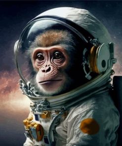 Cute Space Astronaut Chimp Paint By Numbers