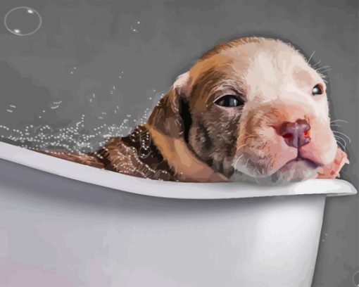 Dog Animal In Tub Paint By Numbers