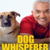 Dog Whisperer with Cesar Millan Poster Paint By Numbers