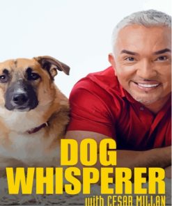 Dog Whisperer with Cesar Millan Poster Paint By Numbers