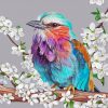 Floral Lilac Breasted Roller Paint By Numbers