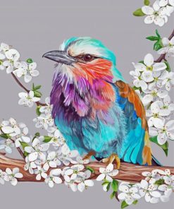 Floral Lilac Breasted Roller Paint By Numbers