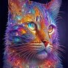 Galaxy Cat Paint By Numbers