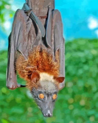 Giant Golden Crowned Flying Fox Bird Paint By Numbers