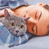 Girl Sleeping With Grey Pet Cat Paint By Numbers