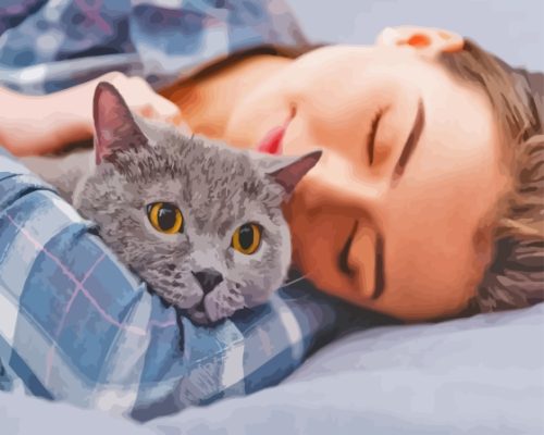 Girl Sleeping With Grey Pet Cat Paint By Numbers