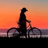 Girl With Bike Silhouette In Sunset Paint By Numbers