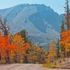 Great Basin National Park Fall Paint By Numbers