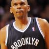 Jerry Stackhouse Basketball Player Paint By Numbers