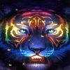 Mad Neon Tiger Animal Paint By Numbers