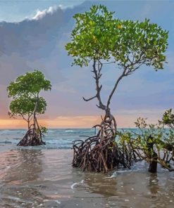 Mangrove Forest Paint By Numbers