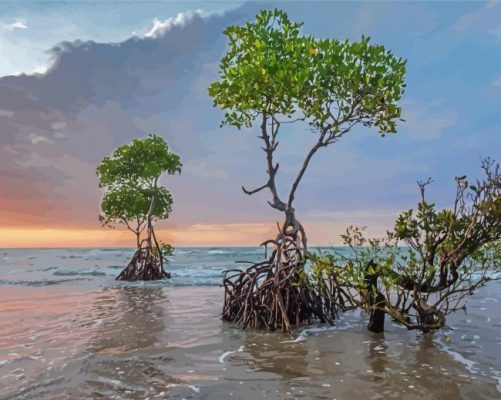 Mangrove Forest Paint By Numbers