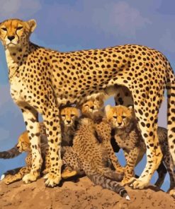 Mother Leopard And Her Babies Paint By Numbers