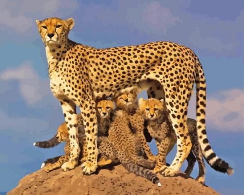 Mother Leopard And Her Babies Paint By Numbers