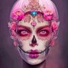 Pink Floral Skull Lady Paint By Numbers