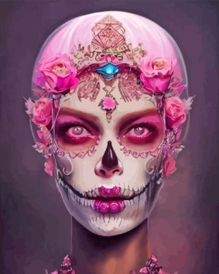 Pink Floral Skull Lady Paint By Numbers