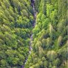 River Flowing Through Dense Forest Paint By Numbers