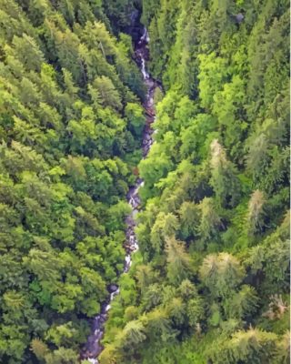 River Flowing Through Dense Forest Paint By Numbers