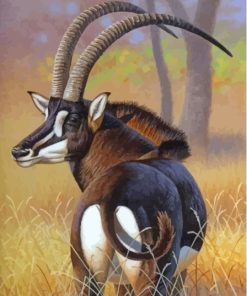 Sable Antelope Animal Paint By Numbers