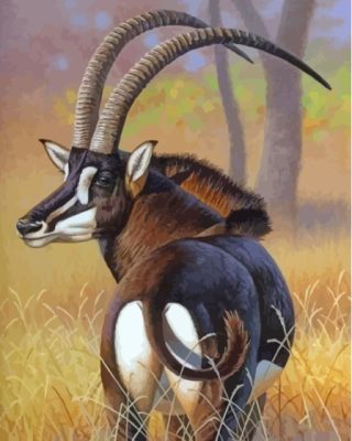 Sable Antelope Animal Paint By Numbers