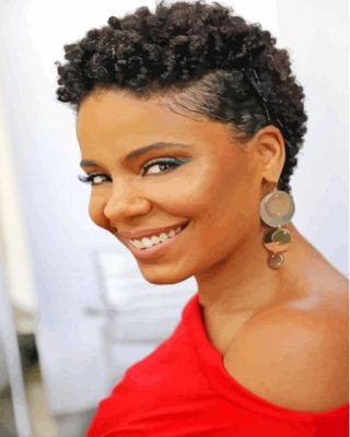 Sanaa Lathan Paint by Numbers