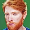 The Actor Domhnall Gleeson Paint By Numbers