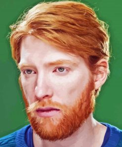 The Actor Domhnall Gleeson Paint By Numbers