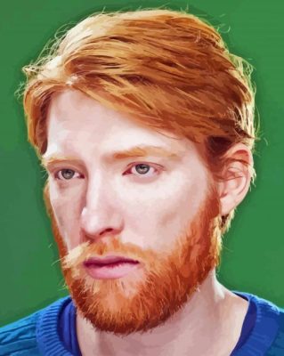 The Actor Domhnall Gleeson Paint By Numbers