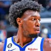 The Basketball Player James Wiseman Paint By Numbers