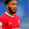 The Footballer Joe Gomez Paint By Numbers