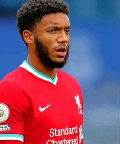 The Footballer Joe Gomez Paint By Numbers