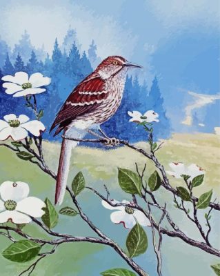 Thrasher Bird And Flowers Paint By Numbers