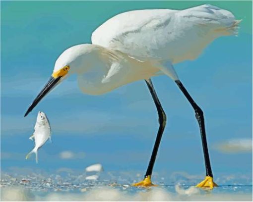 White Heron And Fish Paint By Numbers