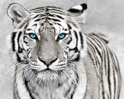 White Tiger With Blue Eyes Paint By Numbers