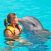 Woman Kissing Dolphin Paint By Numbers