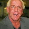 Wrestler Ric Flair Paint By Numbers