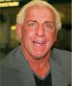 Wrestler Ric Flair Paint By Numbers