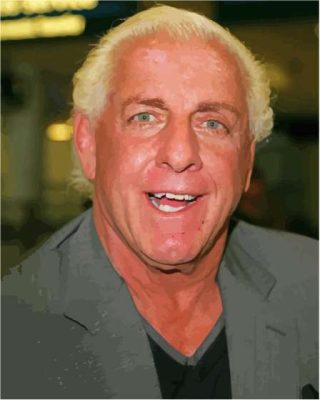 Wrestler Ric Flair Paint By Numbers