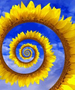 Abstract Spiral Sunflower Paint By Numbers