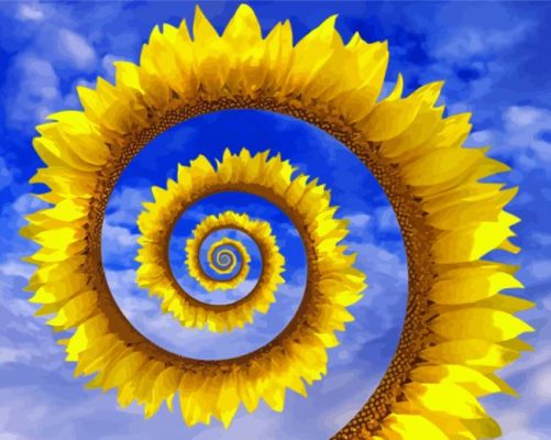 Abstract Spiral Sunflower Paint By Numbers