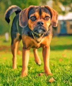 Aesthetic Puggle Dog Paint By Numbers