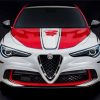 Alfa Romeo Stelvio Race Car Paint By Numbers