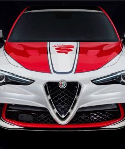 Alfa Romeo Stelvio Race Car Paint By Numbers