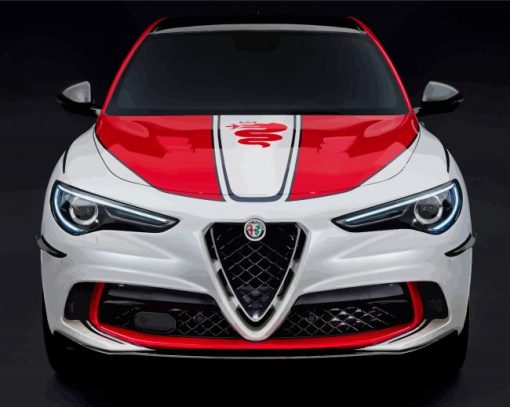 Alfa Romeo Stelvio Race Car Paint By Numbers