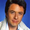 Bill Bixby Paint By Numbers