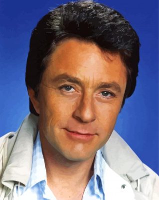 Bill Bixby Paint By Numbers