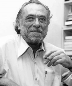 Charles Bukowski Paint By Numbers